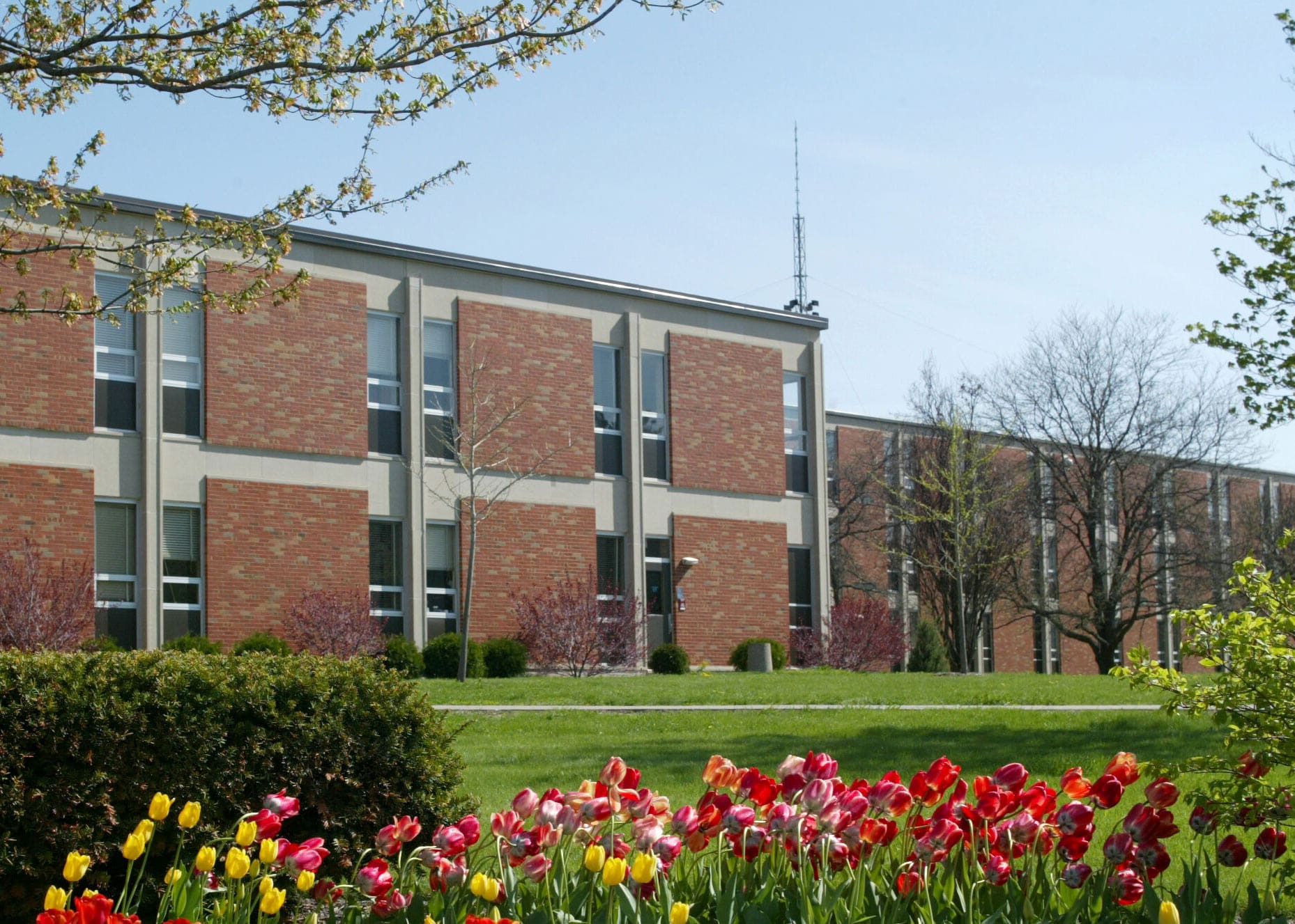 Central Michigan University campus