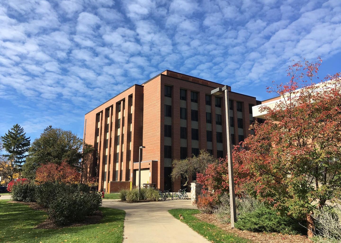 Michigan State University campus