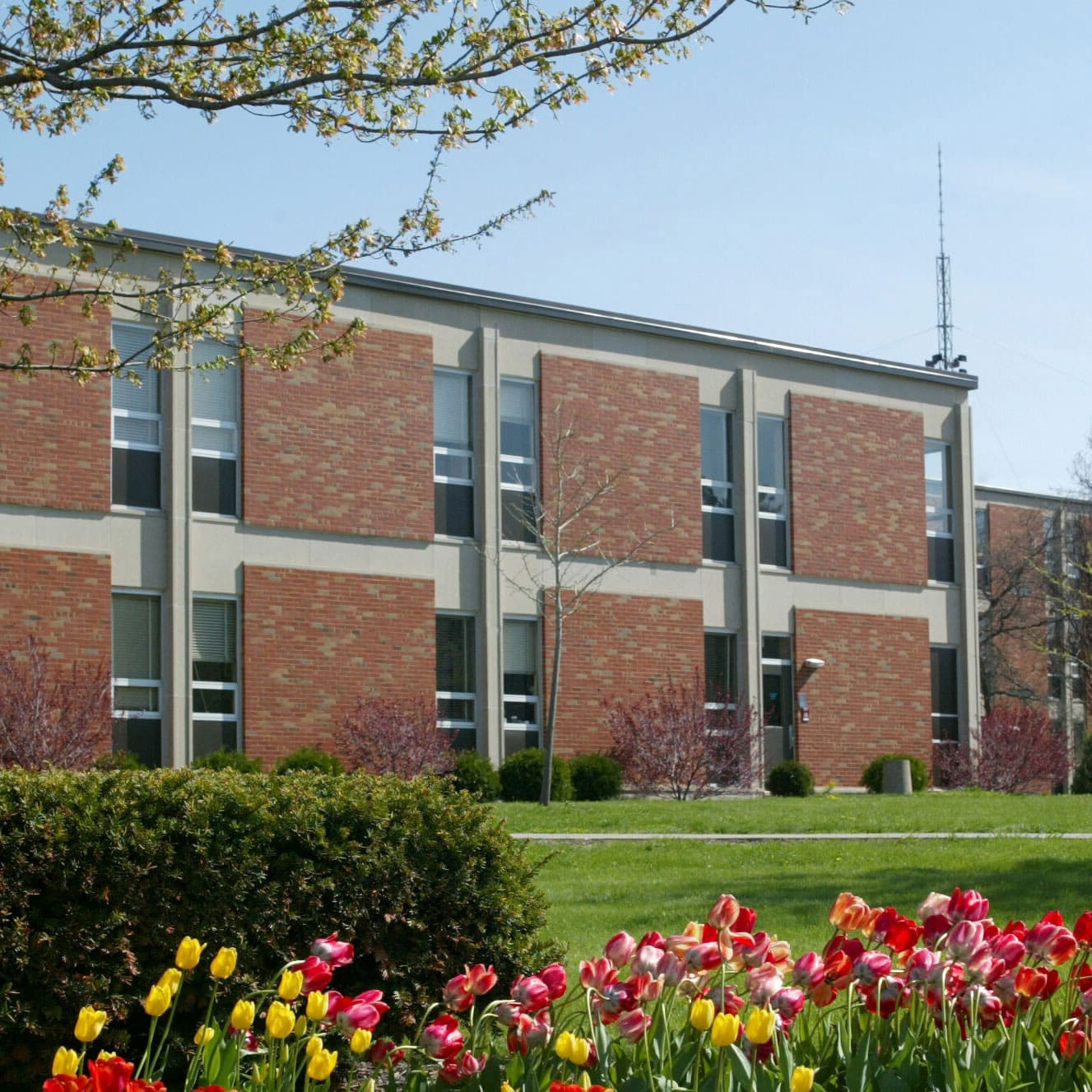 Central Michigan University campus