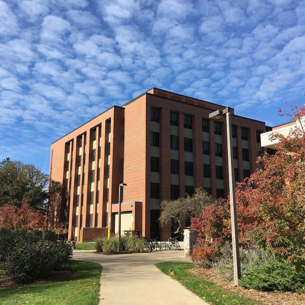 Michigan State University campus