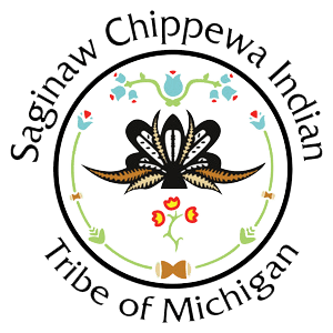 Saginar Chippewa Indian logo